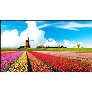 Udemy – The Complete Dutch Beginner Mastercourse (level A0 to A1) 2023-4
