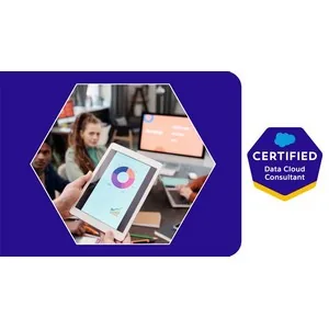 Udemy – Salesforce Data Cloud: The Complete Masterclass 2024-6
