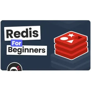Net Ninja – Redis for Beginners 2024-8