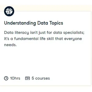 Datacamp – Understanding Data Topics 2024-8