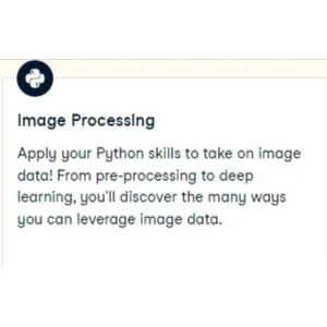 Datacamp – Image Processing with Python 2024-8