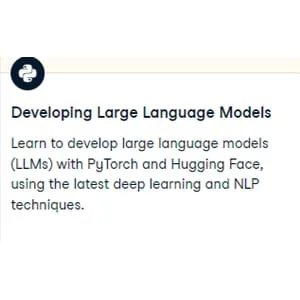 Datacamp – Developing Large Language Models 2025-3