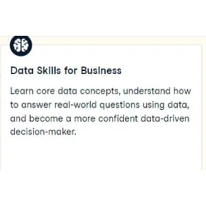 Datacamp – Data Skills for Business 2024-8