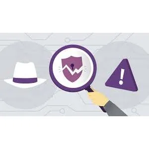 LinkedIn – Ethical Hacking: Vulnerability Analysis 2019-9