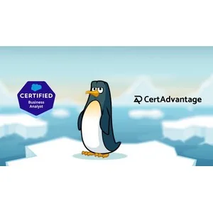Udemy – Salesforce Business Analyst Exam Dump Walkthrough 2024-8