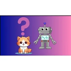 Udemy – Build Your Own Chat Bot From Scratch 2024-8