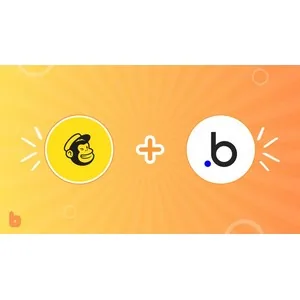 Udemy – Building A Mailchimp Clone With No-Code Using Bubble 2024-9