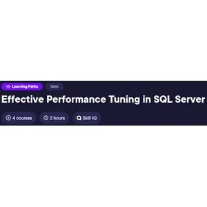 Pluralsight – Effective Performance Tuning in SQL Server 2024-7