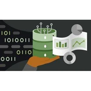 LinkedIn – Advanced SQL Project: Design and Manage a Database 2024-8