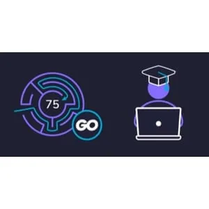 Educative – Grokking Blind 75 in Go: Mastery through Coding Patterns 2024-9