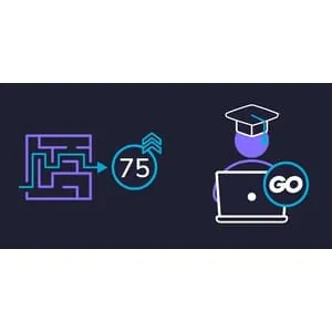 Educative – Grokking Grind 75 in Go: Mastery through Coding Patterns 2024-9