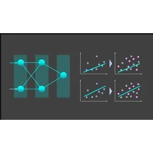 Udemy – Data Science for Everyone 2024-9