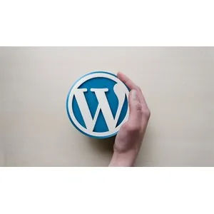 Udemy – Mastering WordPress Theme Development. 2024-8