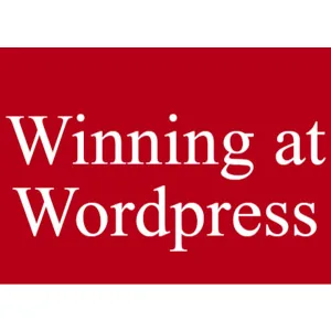 Brand and Bloom Designs – Winning at WordPress 2024-9