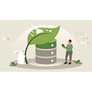 LinkedIn – Data Resilience with Spring and RabbitMQ Event Streaming 2024-9