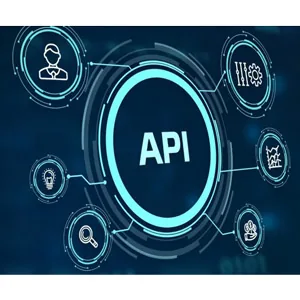 Udemy – Ethical Hacking of RESTful and GraphQL APIs Training Course 2024-12
