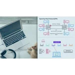 Pluralsight – Network Implementation for CompTIA Network+ 2024-9