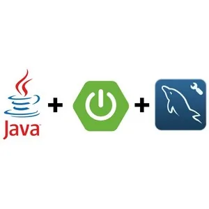 Udemy – The No Nonsense Guide to Java Spring Boot 2024-9