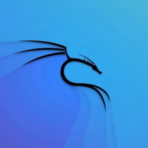 Udemy – Kali Linux Certification Course: Hacking with Kali Linux 2024-9