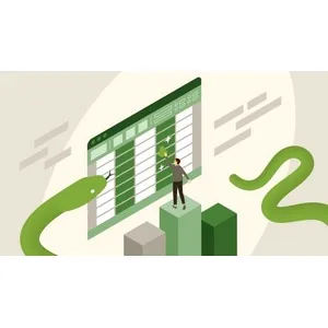 LinkedIn – Data Cleaning and Manipulating with Python in Excel 2024-10