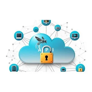 Udemy – Ultimate Guide to OWASP API Security Top 10 Risks – 2023 2024-9