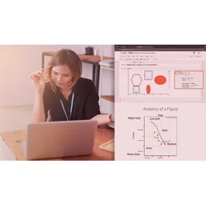 Pluralsight – Building Interactive Visualizations Using Bokeh 2024-10