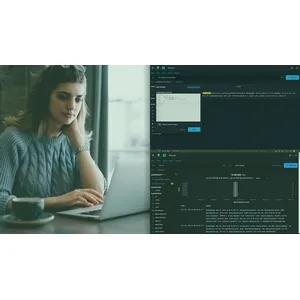 Pluralsight – Elastic Stack: Getting Started 2024-10