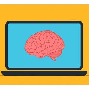 Udemy – 2025 Machine Learning & Data Science for Beginners in Python 2024-11