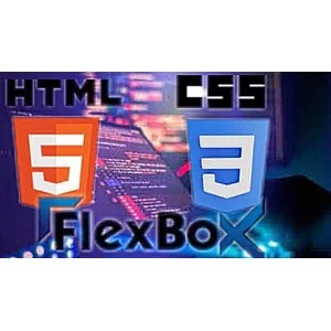 Udemy – LEARN HTML, CSS and FLEXBOX FROM SCRATCH 2024-10