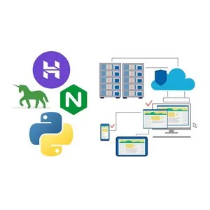 Udemy – Deploy Django application on Hostinger server VPS 2024-10