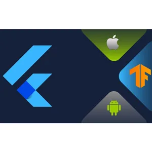Udemy – Flutter & ML : Train Tensorflow Lite models for Flutter Apps 2024-9