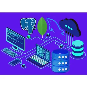 Udemy – MySQL, PostgreSQL and MongoDB Database Design Masterclass 2024-11