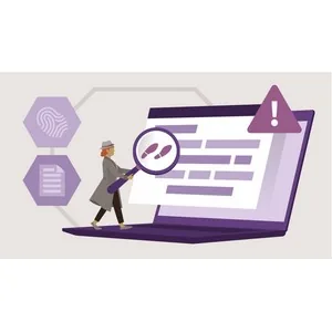 LinkedIn – Web Forensics: Recovering Digital Evidence 2024-11
