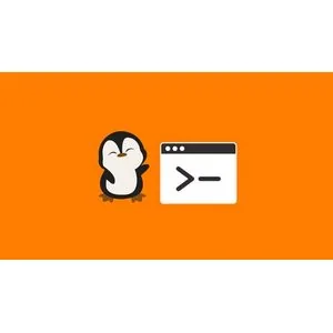 Udemy – Linux for Cloud Engineers and Devops 2024-10