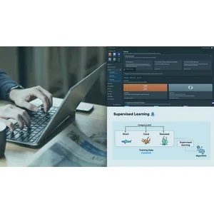 Pluralsight – AWS Certified AI Practitioner (AIF-C01): Fundamentals of AI and ML 2024-11