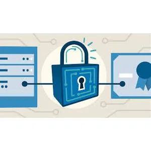 LinkedIn – Cisco Network Security: Core Security Concepts 2024-11