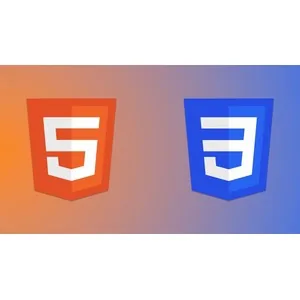 Udemy – HTML && CSS For Absolute Begginers 2024-10