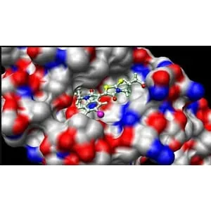 Udemy – Bioinformatics; Learn Docking & Mol Dynamics Simulation 2024-12