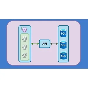 Udemy – Advanced .NET Web API: Multi-Tenant Applications (NEW) 2025-1