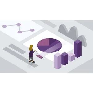 LinkedIn – The 80/20 Rule of Data Science 2024-9