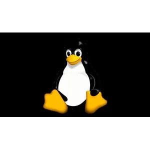 Udemy – Linux Essentials to Expert: A Complete Masterclass 2024-11
