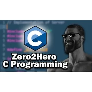 Low Level Academy – Zero2Hero C Programming 2024-12