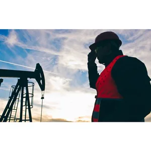 Udemy – Petrochemicals – Complete Guide to Process & Industry 2019-1