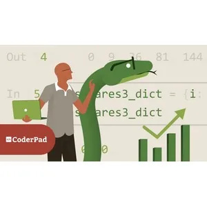 Linkedin – Python Data Analysis 2025-1