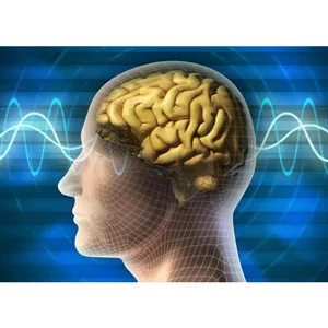 Udemy – Introduction to Quantum Physics 2022-8