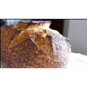 Udemy – #1 Sourdough Bread Baking 101 2021-11