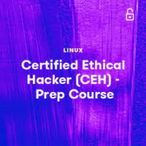 A Cloud Guru – Certified Ethical Hacker (CEH) – Linux Academy’s Prep Course 2025-1