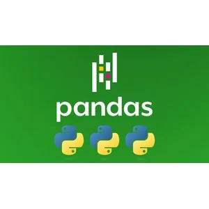 Udemy – Master Pandas and Python for Data Handling [2025] 2025-9