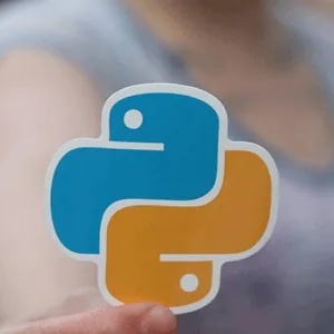 Udemy – 100 Days of Python Programming Challenge 2025-2