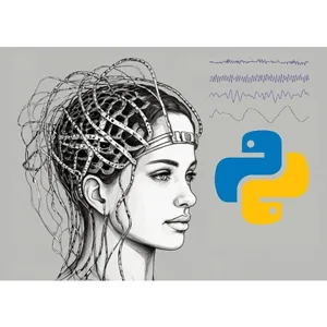 Udemy – Signal processing (Python) for Neuroscience Practical course 2024-12